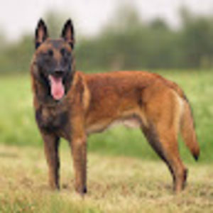 Meet your Posher, Paylee